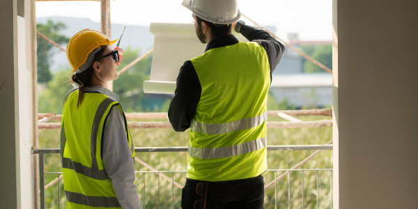 Project Manager / Management Tardienta · Project Management / Director de ejecución de obra